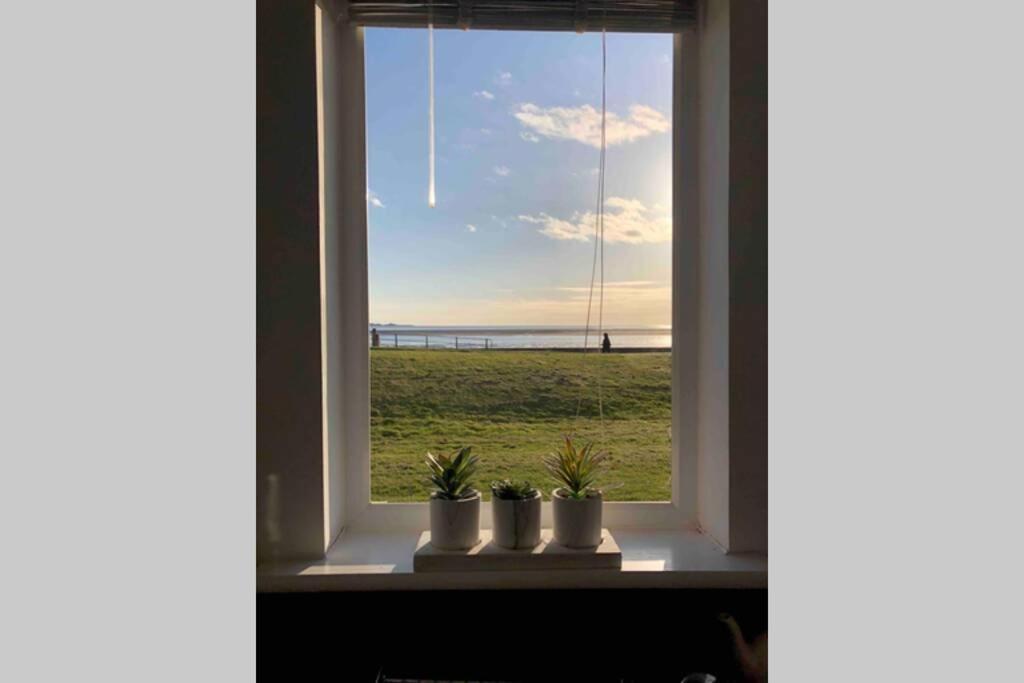 Cockledora, A Luxury Ground Floor Beachfront Apartment 래넬리 외부 사진
